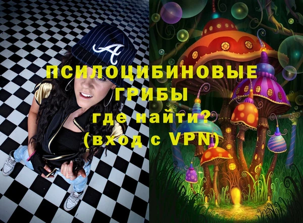 mix Гатчина
