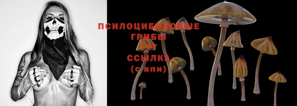 альфа пвп Михайловск