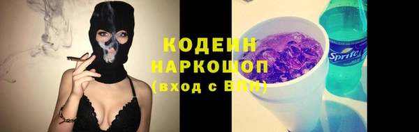 прущие грибы Надым