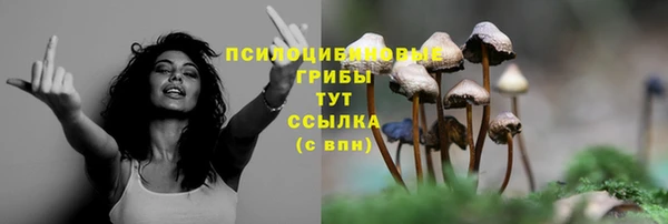 дурь Наволоки