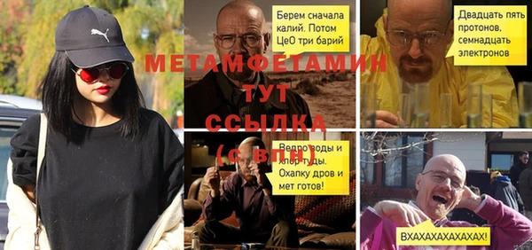 прущие грибы Надым