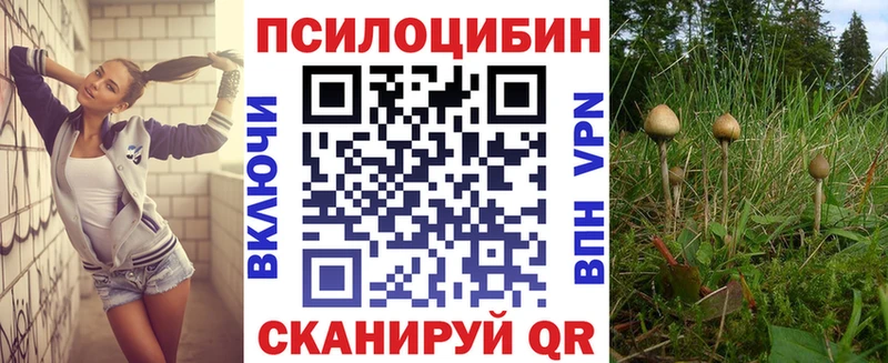 Псилоцибиновые грибы Psilocybe  Купить где  Заинск 