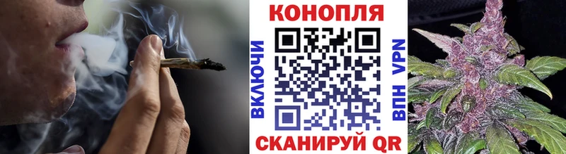 Шишки марихуана план  Купить где  Заинск 